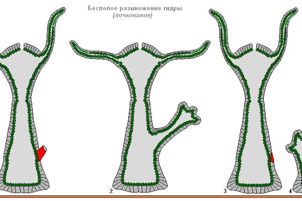 Vk5 at kraken