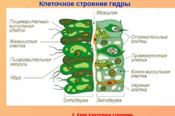 Кракен вывод средств